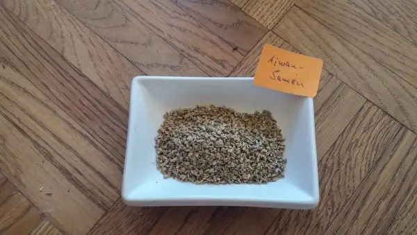 ajwain, bishop's weed, seeds