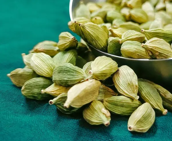 Close-Up Shot of Cardamons